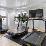 artikel gaya hidup sehat